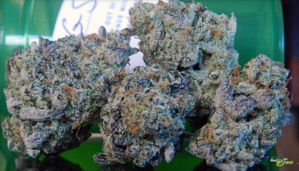 thin mint cookies strain thin mint cookies strain
