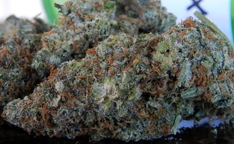 Pineapple Express: Mellow Smoke Sessions Pineapple Express Marijuana Strain