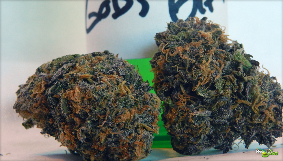 god-s-gift-marijuana-strain-review