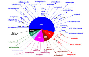 Terpenes May Improve Potency Of Medical Cannabis