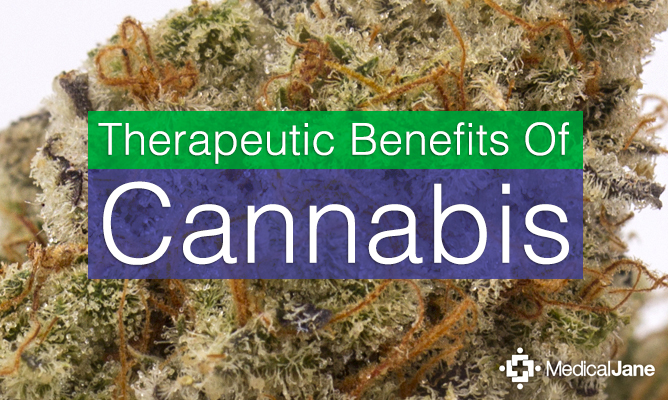 The Therapeutic Benefits Of Cannabis, According To Science The Therapeutic Benefits Of Cannabis, According To Science