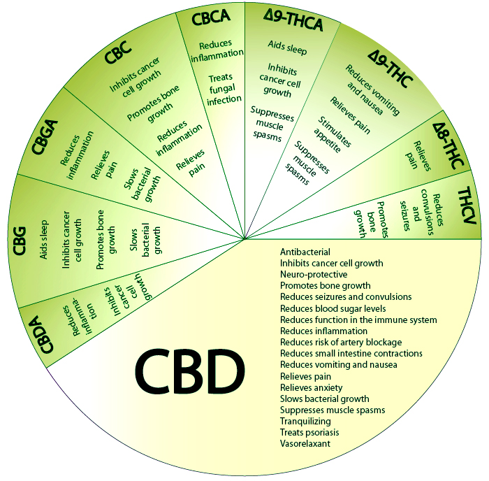 Cannabidiol (CBD) Makes Its Way To The Forefront