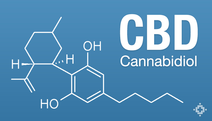 New San Jose Cannabis Clubs Developments At Buddys Cannabis