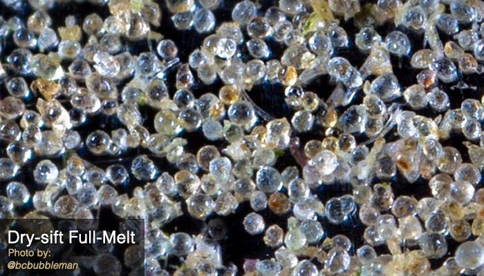 dry sift full melt