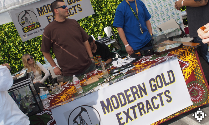 modern gold extracts