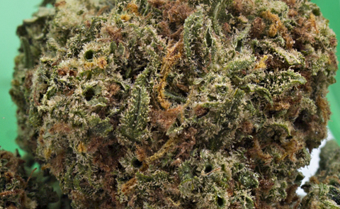 review haze strain lemon