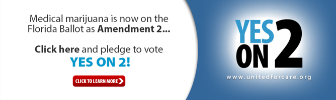 Florida's Amendment 2: Vote YES And Legalize Cannabis