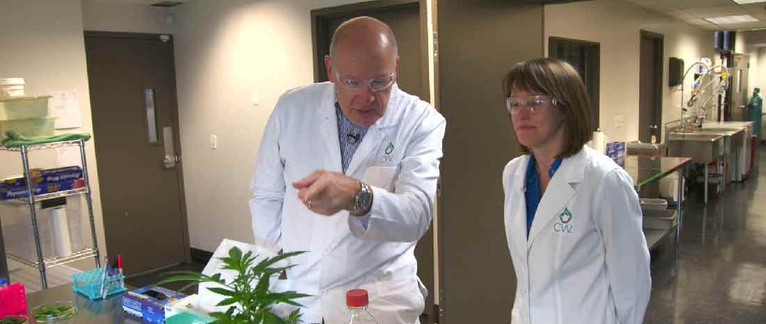 Harry Smith (left) discusses the difference between Marijuana and Hemp with Stanley Brother's botanist Bear Reed (right).