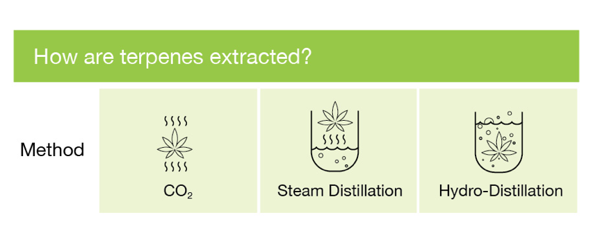 Screen Shot 2016-09-20 at 5.01.49 PM