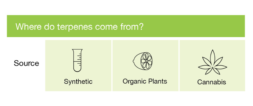 Screen Shot 2016-09-20 at 5.01.59 PM