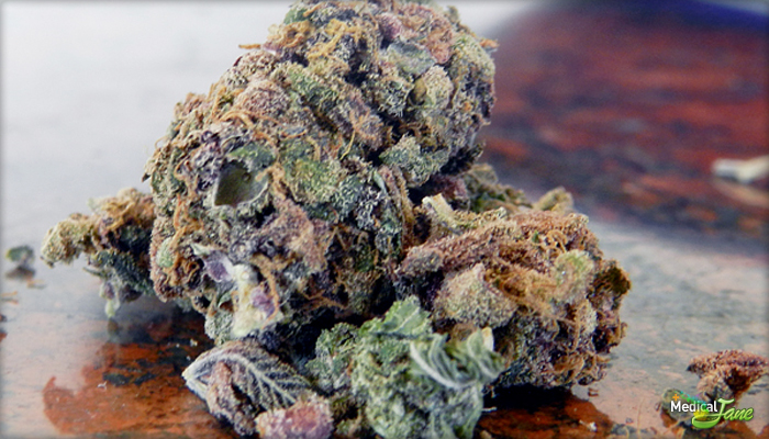 Purple Haze Marijuana Strain