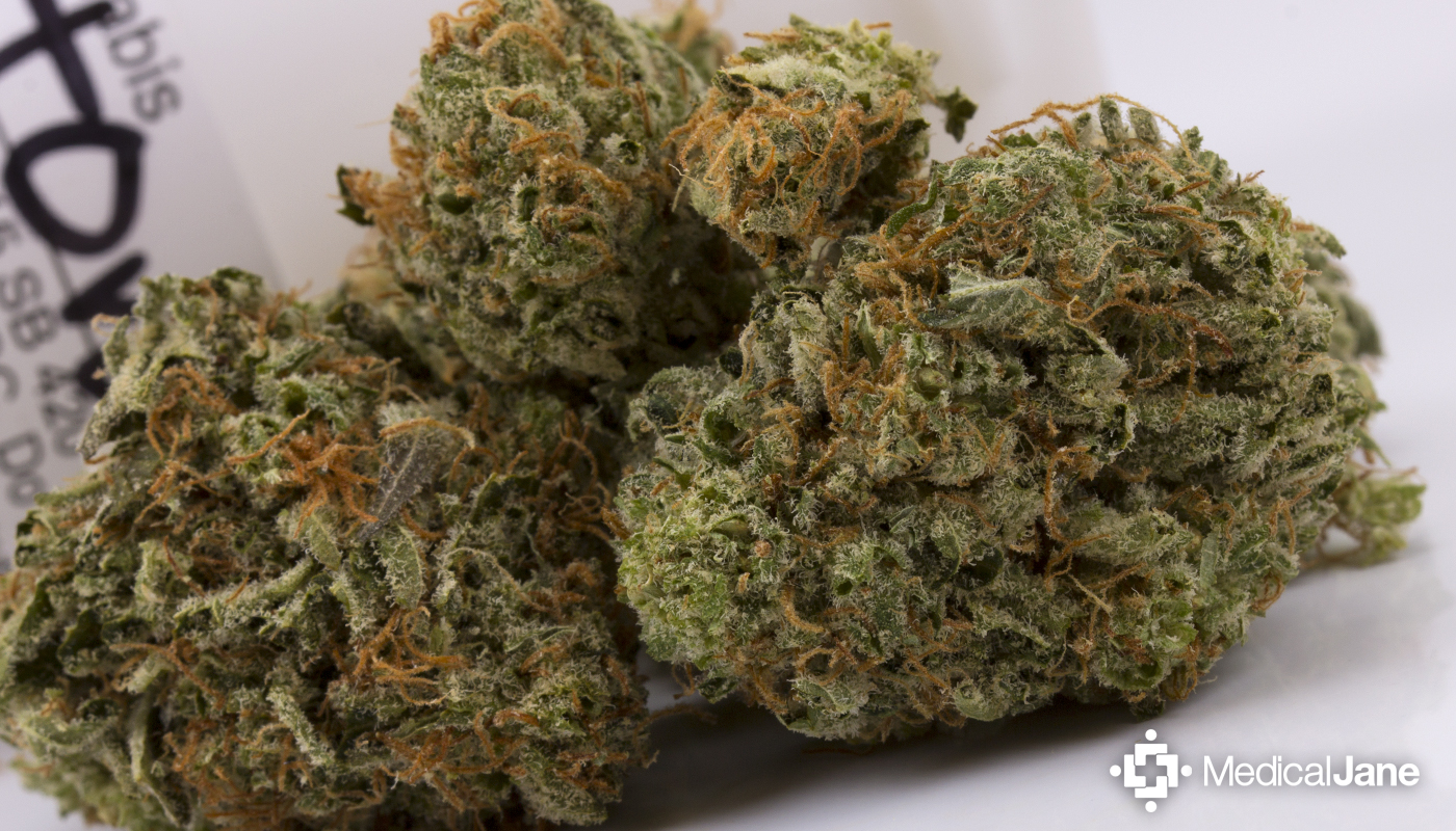 Agent Orange Marijuana Strain