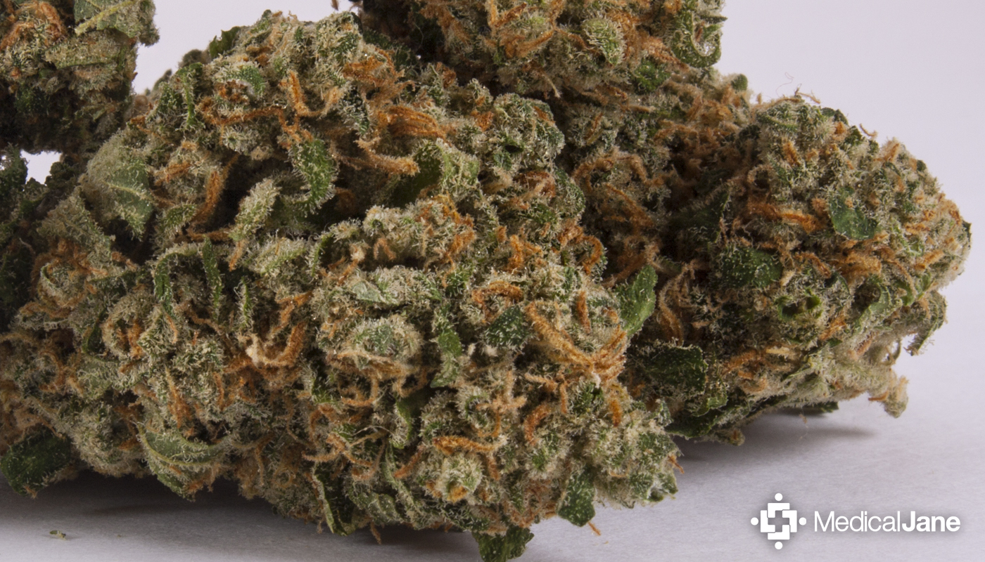 Green Crack Marijuana Strain