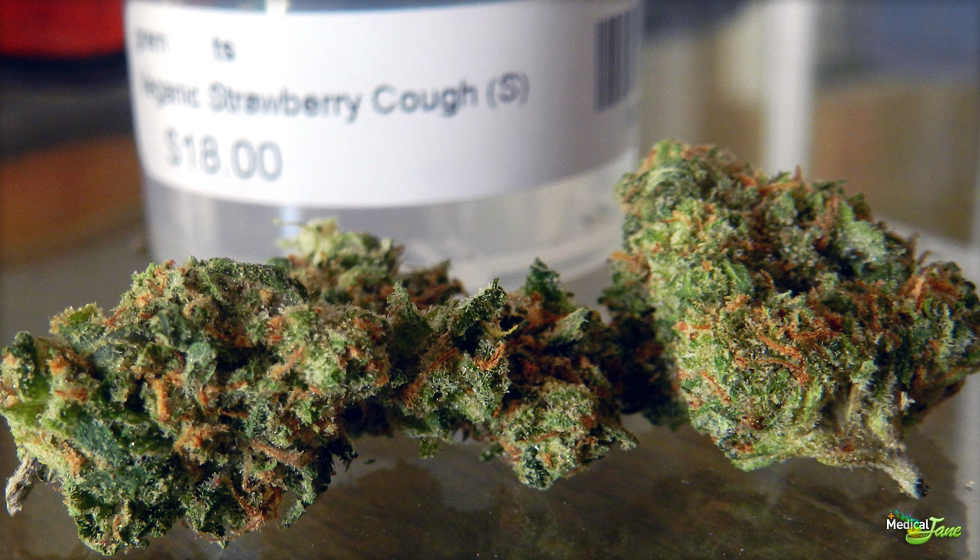Strawberry Cough  Marijuana Strain