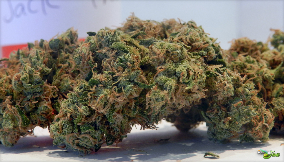 Jack Frost Marijuana Strain