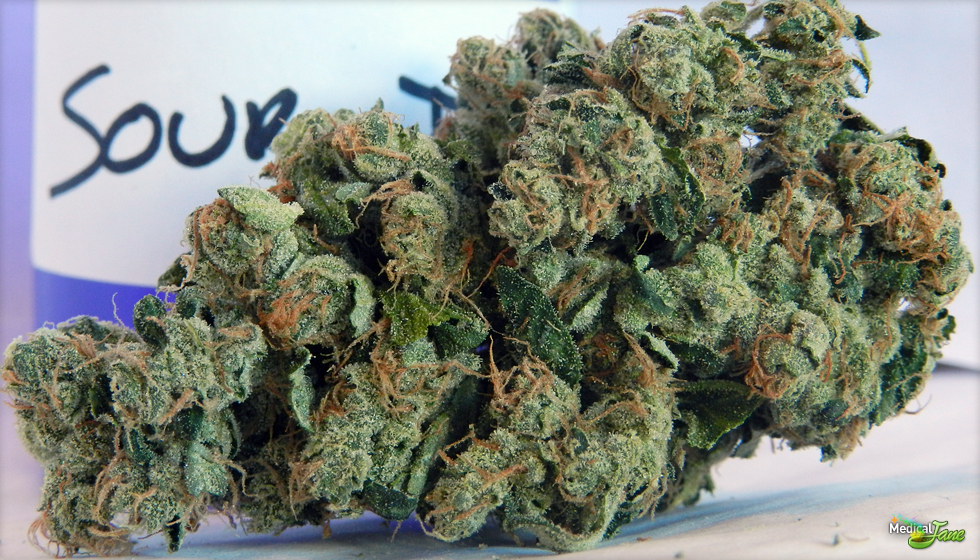 sour diesel taste