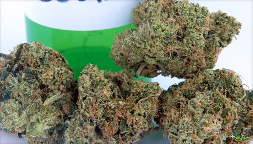 Sour Diesel Marijuana Strain