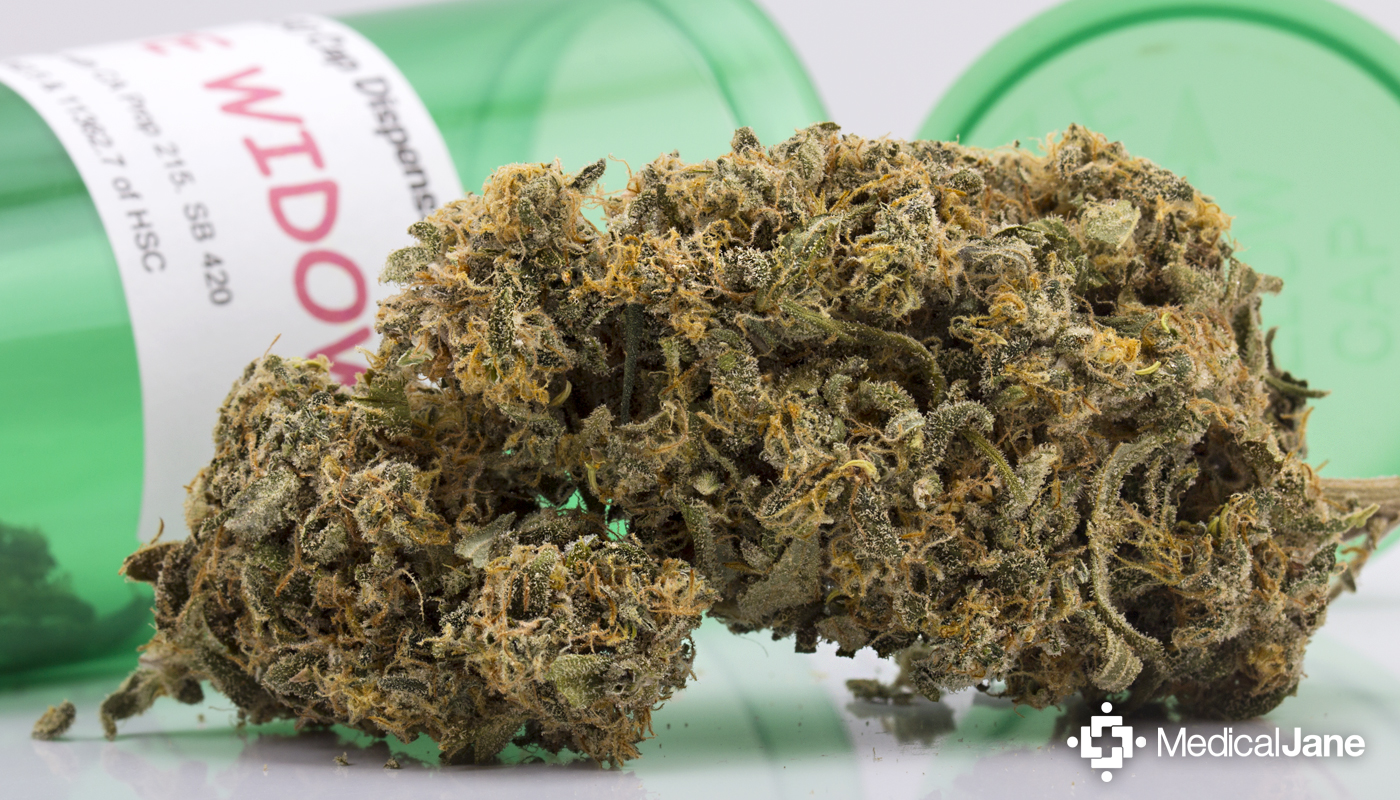 Review: White Widow da Weed or Hemp com Def Jam Fight for NY