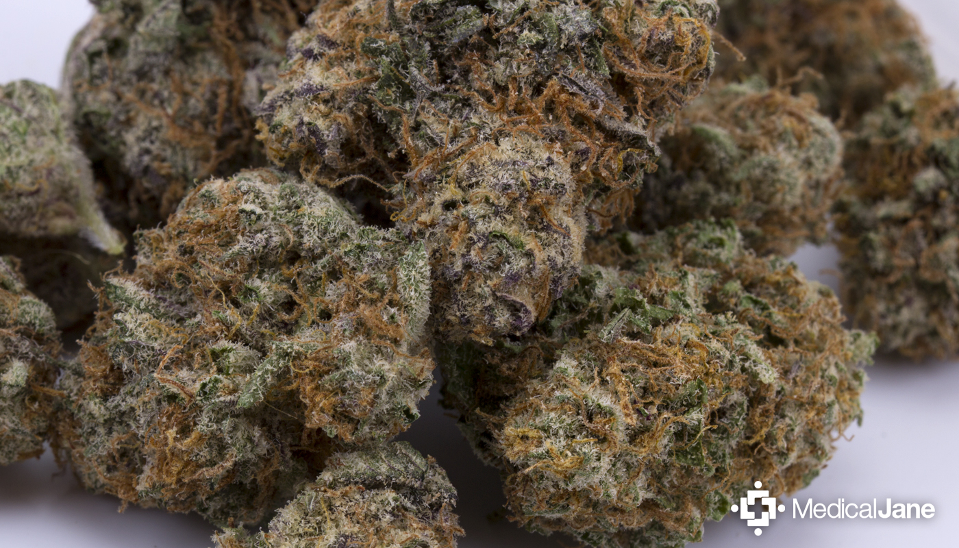 Afpak Marijuana Strain