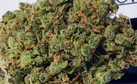 Durban Poison Marijuana Strain (review)