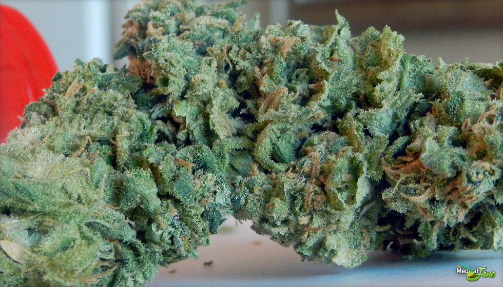 Sour Apple  Marijuana Strain