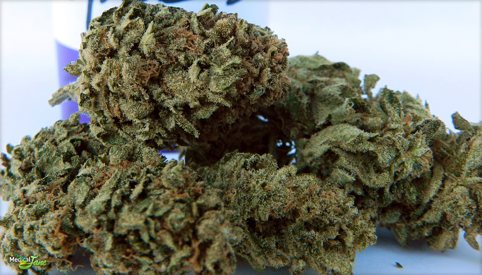 Super Skunk Marijuana Strain