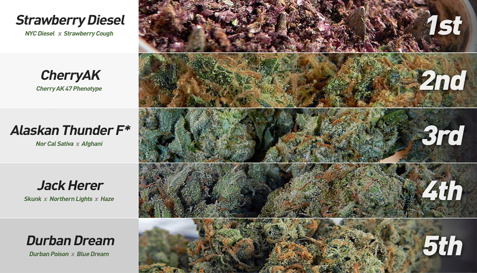 All Marijuana Strains List