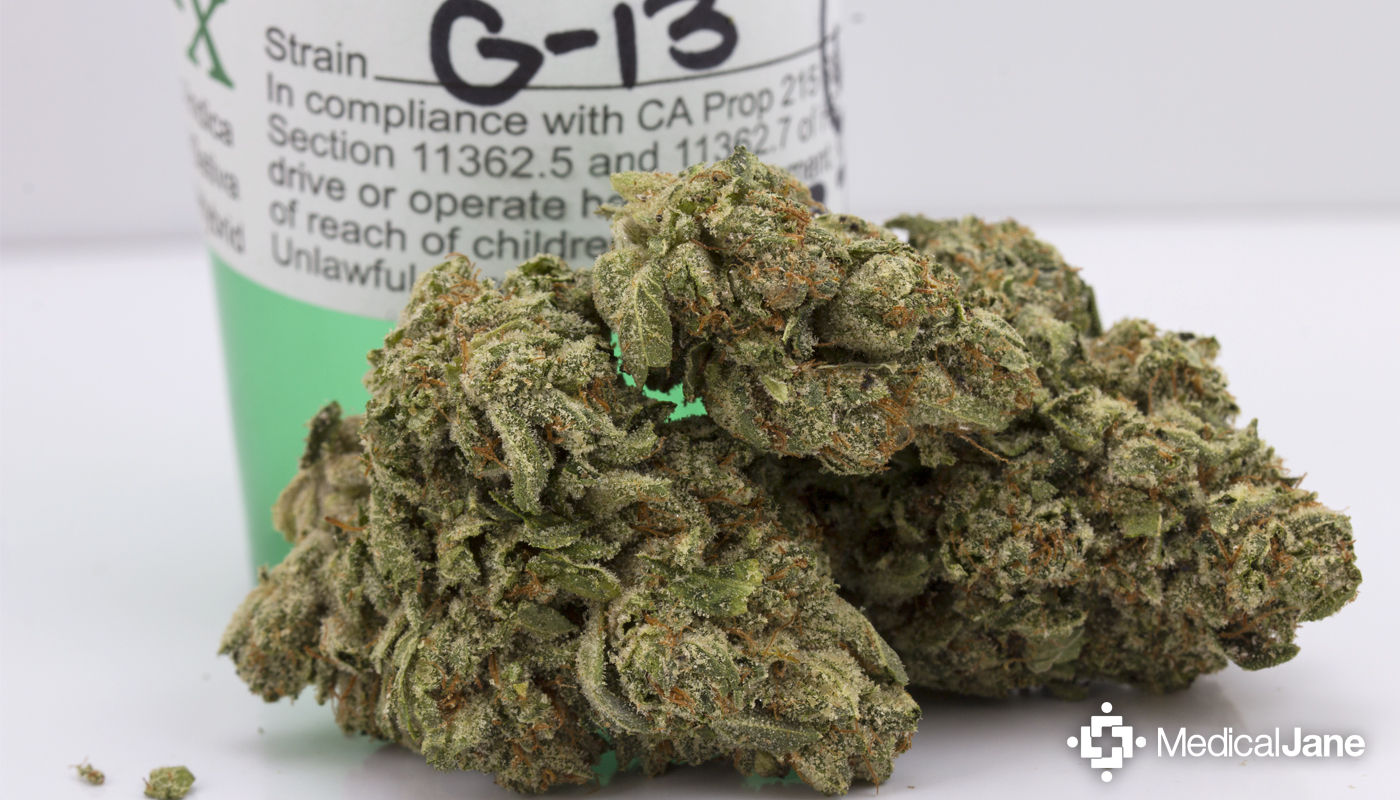 G-13 Marijuana Strain