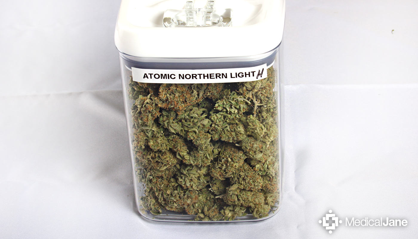 Atomic Northern Lights Marijuana Strain