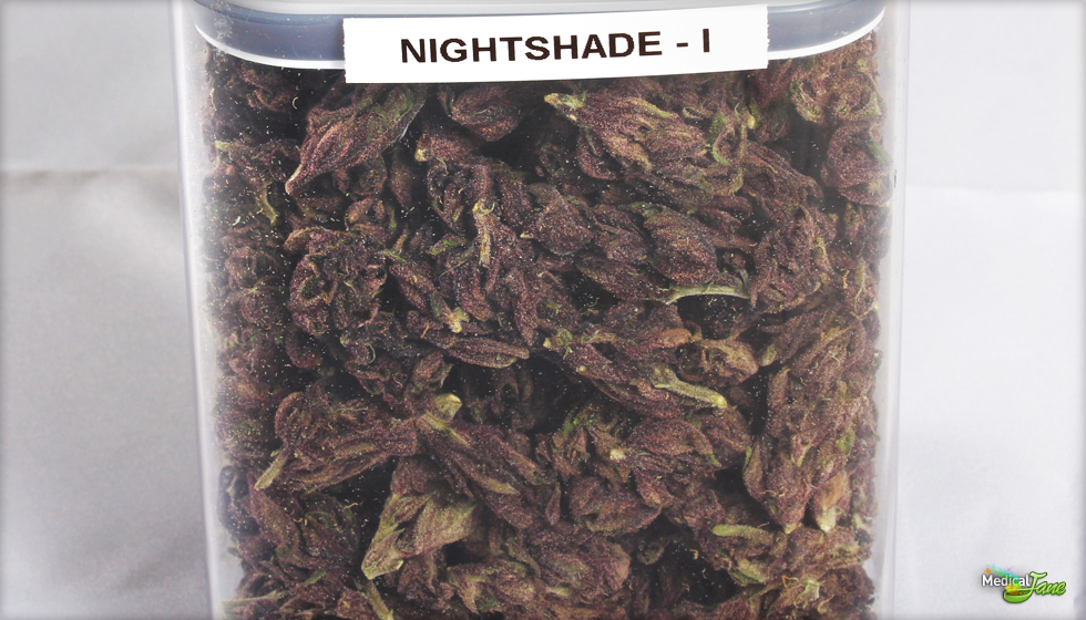 Night Shade Marijuana Strain