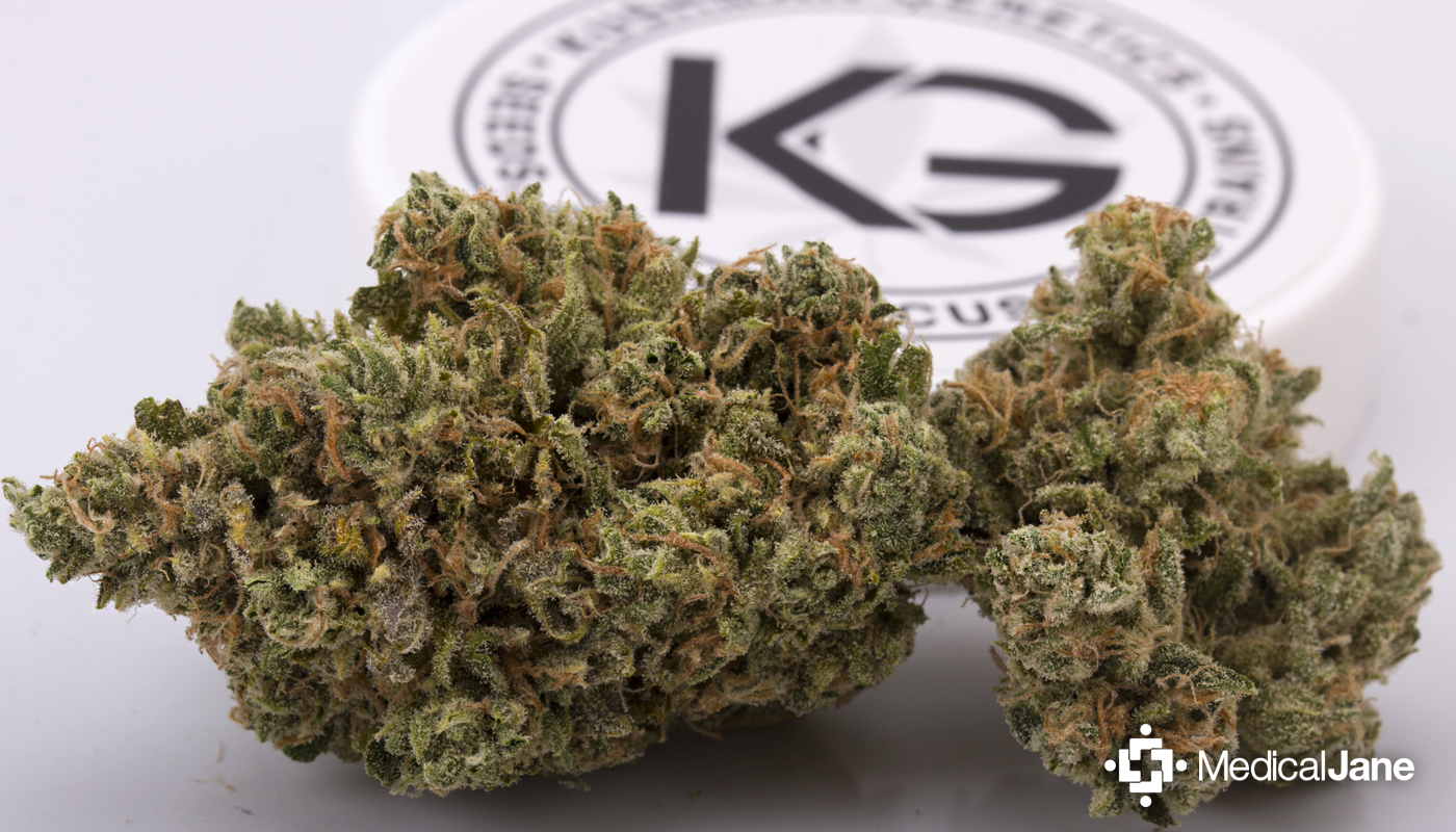 Dingleberry Kush (South Bay Genetics) :: Cannabis Strain Info