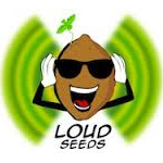 Logo for Loud Seeds