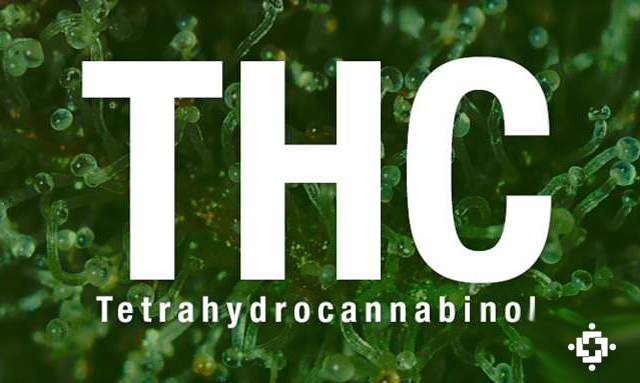 Image result for thc