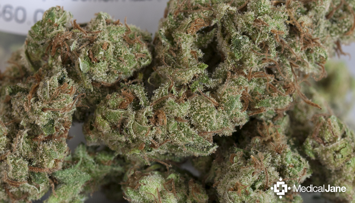 super-lemon-haze-marijuana-strain-review