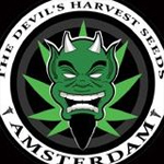 Logo for The Devil’s Harvest Seed Company