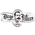 Logo for Diego Pellicer