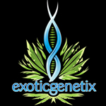 Logo for Exotic Genetix