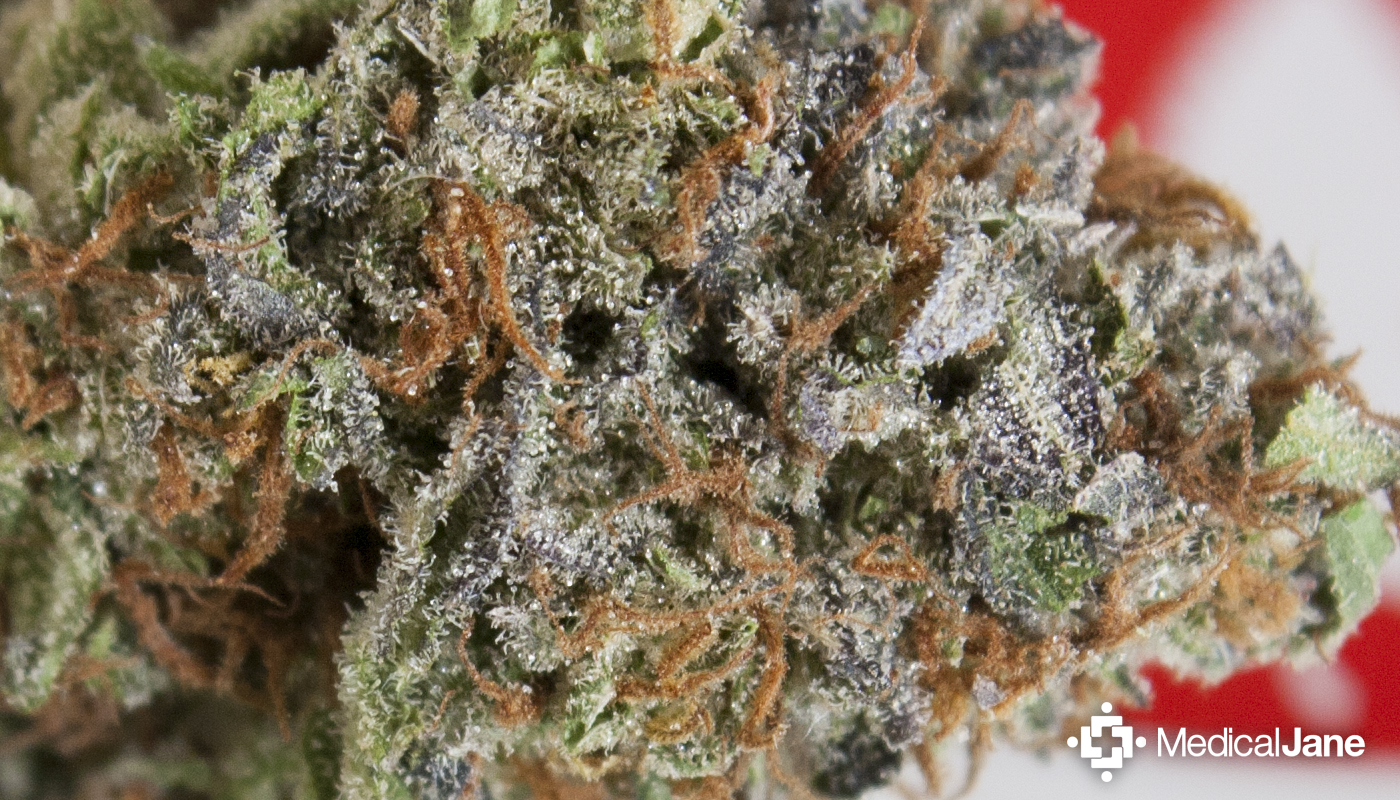 LA Confidential aka Confidential, Confidential OG Marijuana Strain  Information - Leafly