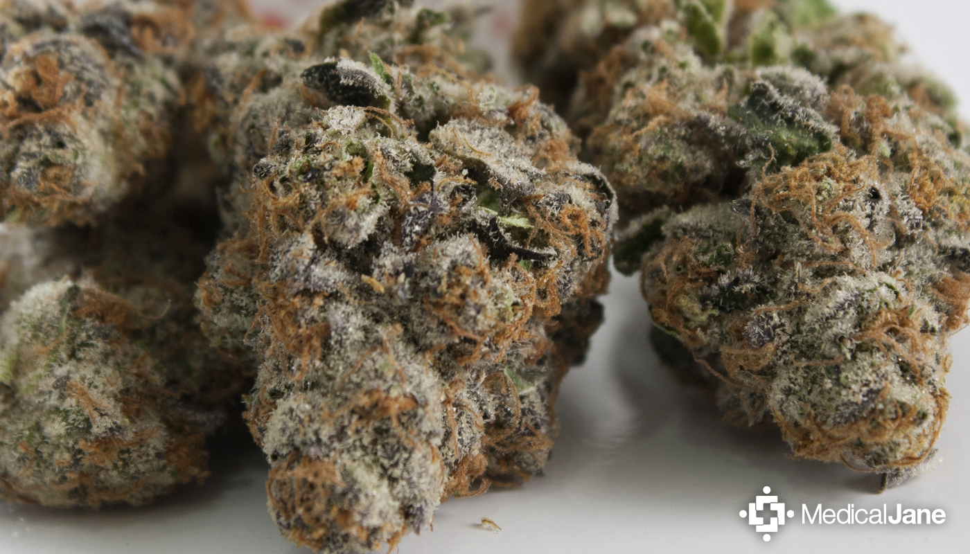 Platinum Cookies Marijuana Strain Review