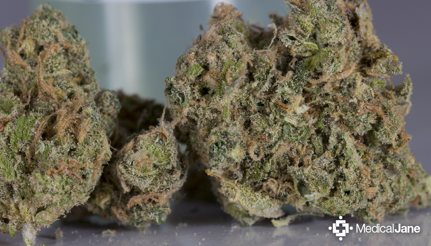 True Blue Marijuana Strain (Review)