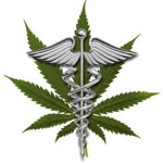 THC May Help To Reduce Damage In Patients With IBD