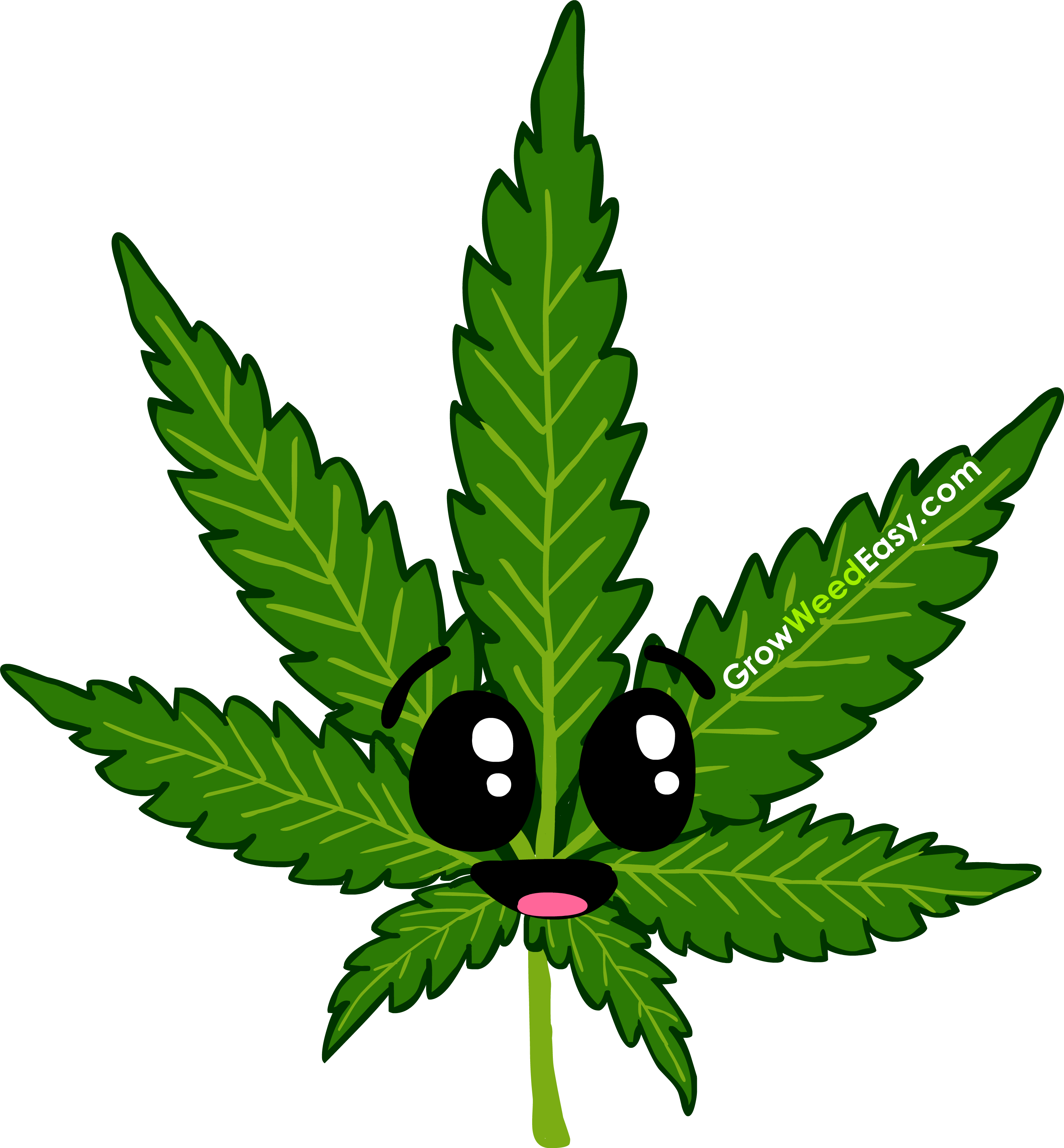 Logo for GrowWeedEasy.com