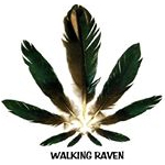 Logo for Walking Raven, LLC