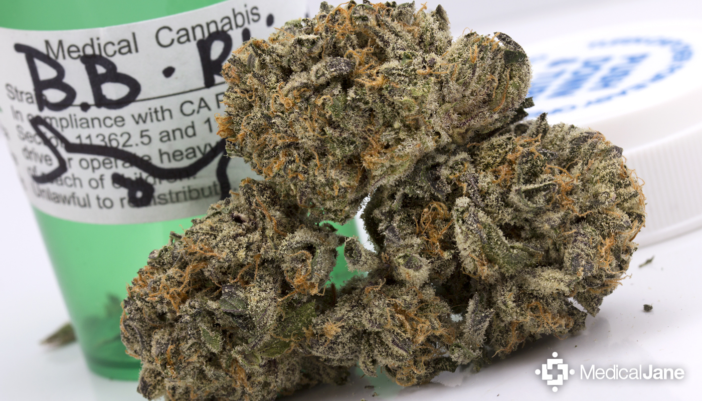 Blackberry Rhino Marijuana Strain