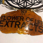 Logo for Flower of Life Extracts