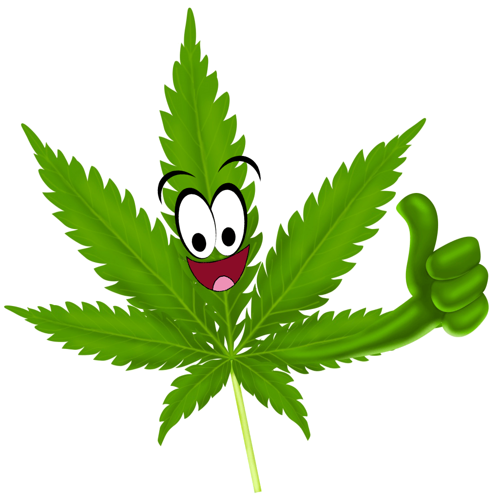 Logo for Florida Cannabis Business Alliance
