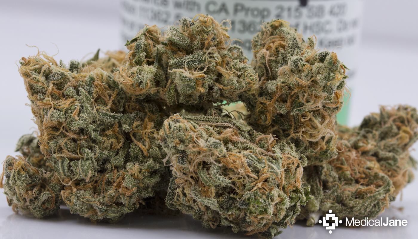 Blue Maui Marijuana Strain