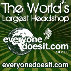 Logo for EverybodyDoesIT