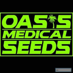 Logo for Oasis Medical Seeds