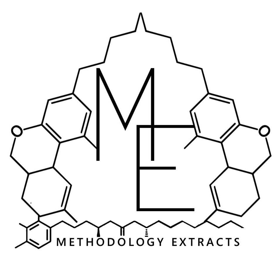 Logo for Methodology Extracts